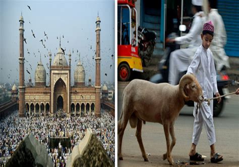 Significance Of Eid Al Adha The Feast Of Sacrifice India News India Tv