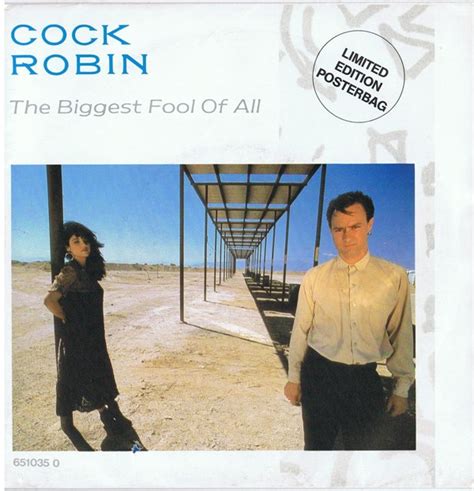 Cock Robin The Biggest Fool Of All 1987 Posterbag Vinyl Discogs