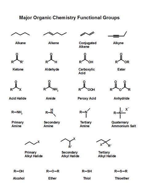 Iupac Nomenclature Of Alkanes Organic Chemistry Some Basic Principles