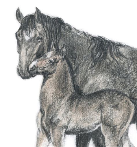 Mare With Foal Original Graphite Pencil Drawing Horses Etsy