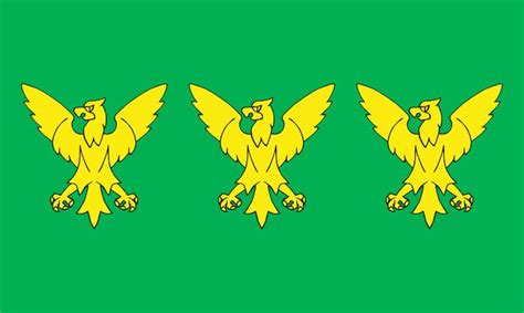 Wikipedia s jimmy wales not taking rgate the mary sue. Caernarfonshire - Wikipedia in 2020 | Welsh flag, County ...