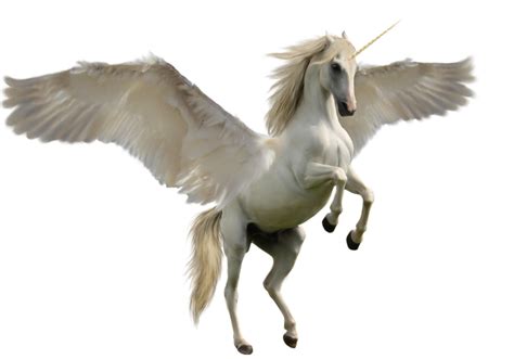 Pegase Licorne In 2020 Unicorn Images Mythical Creatures List