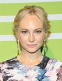 Candice Accola photo 279 of 372 pics, wallpaper - photo #806122 - ThePlace2