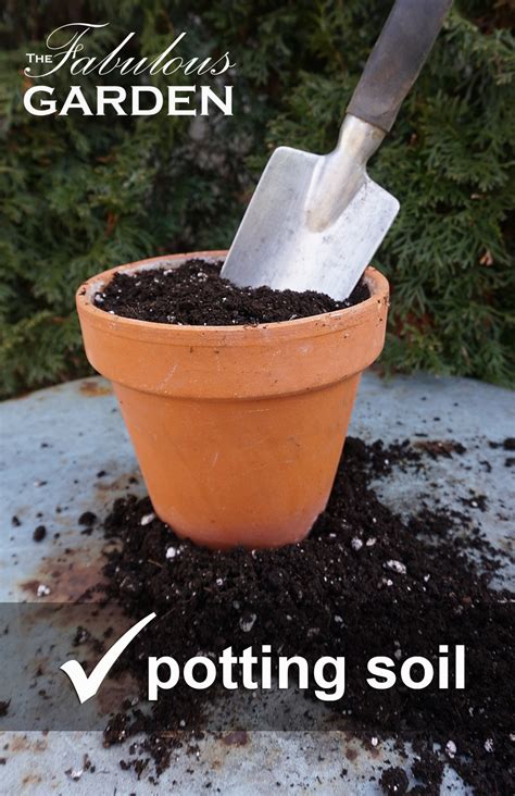 Low prices on patio, garden & more. Do I need to use potting soil in my pots? - The Fabulous ...