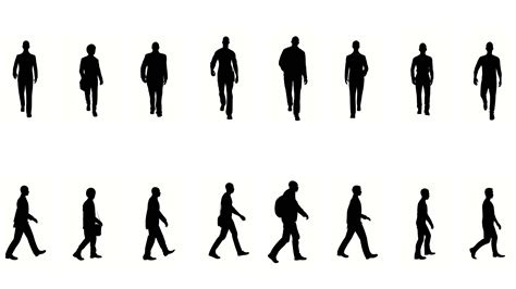 Silhouette Business Man People Walk On White Background Silhouette