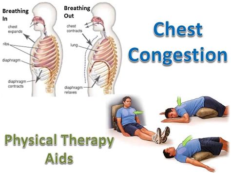 Proper Respiratory Exercises Can Assist In Toning Up The Muscles That