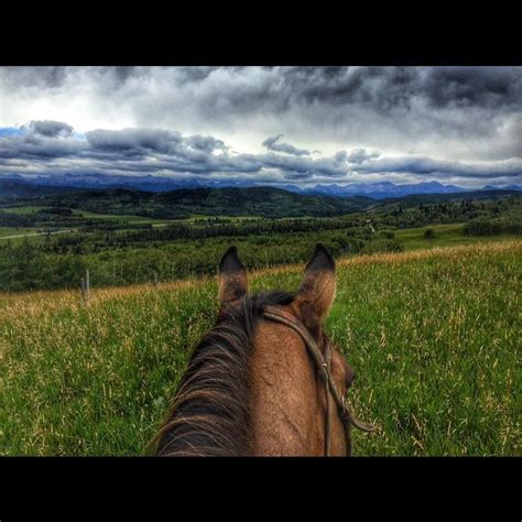 Maybe you would like to learn more about one of these? #builtforthewild (With images) | Nice view, Natural ...
