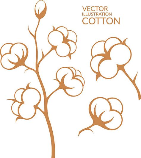 Silhouette Of Cotton Boll Illustrations Royalty Free Vector Graphics