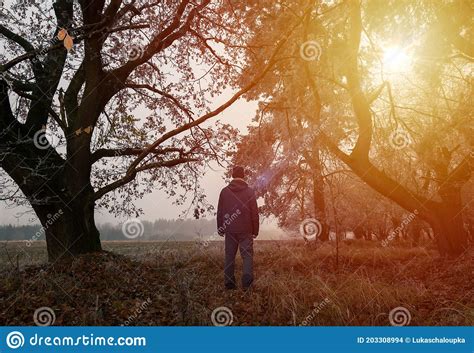 Young Man Standing In Fog Misty Tree Path At Sunset Czech Landscape