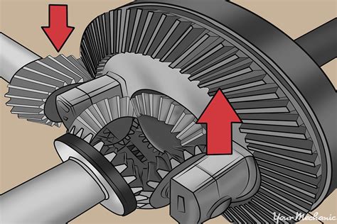 Final Drive Ratios Explained Bookswriters