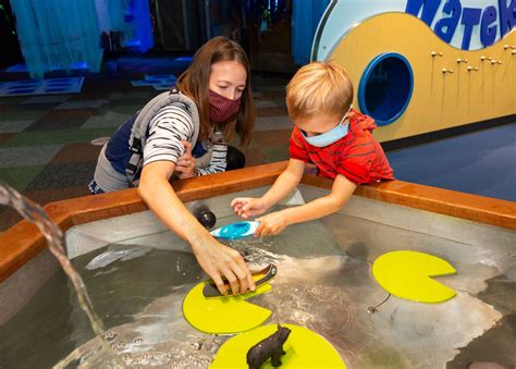 Official Denver Museum Of Nature And Science Discovery Zone