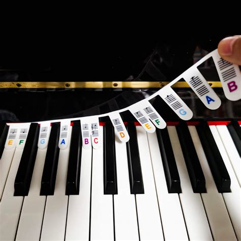 Buy Removable Piano Keyboard Note Labels Piano Key Music Notes Letter