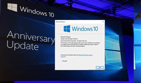 The anniversary update makes it easier for users to clean install windows 10. Windows 10 Anniversary Update Pro 1607 14393.105 Insider ...