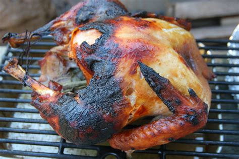 Ovens: How To Cook A Turkey In The Oven