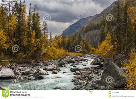 Beautiful Landscape With A View Of A Mountain Stream Stock