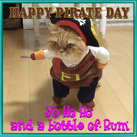 Kitty Talks Like A Pirate Free Intl Talk Like A Pirate Day Ecards