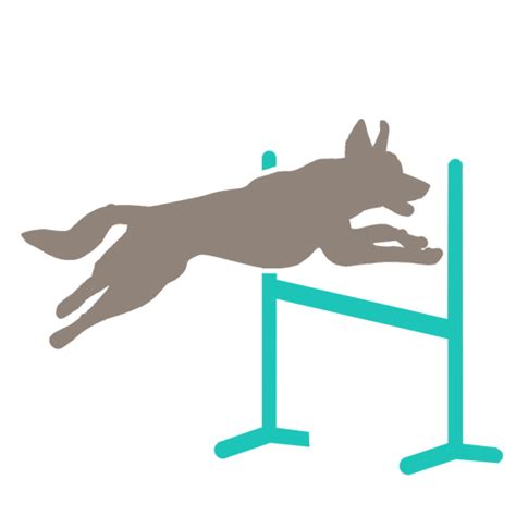 Agility Icon At Getdrawings Free Download