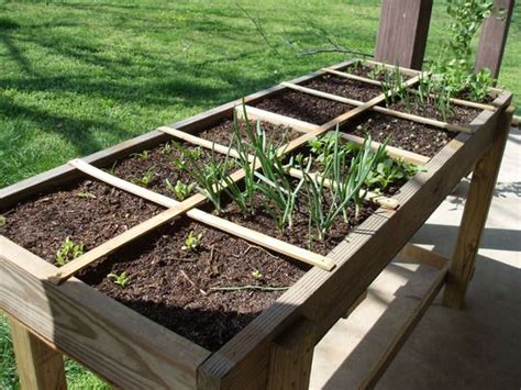 Build Your Own Salad Table Raised Garden Beds Diy Diy Raised Garden