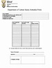 Salary Schedule Form - Fill Online, Printable, Fillable, Blank | pdfFiller