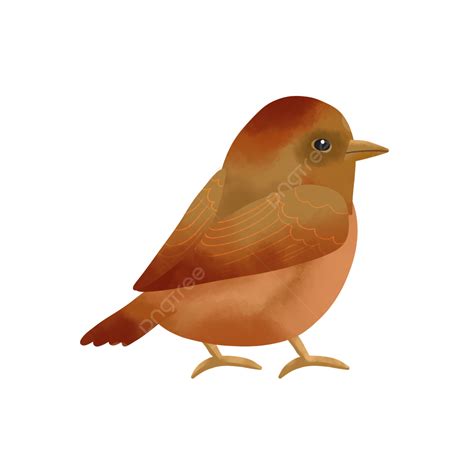 Small Birds Hd Transparent Small Watercolor Bird Animal Animal