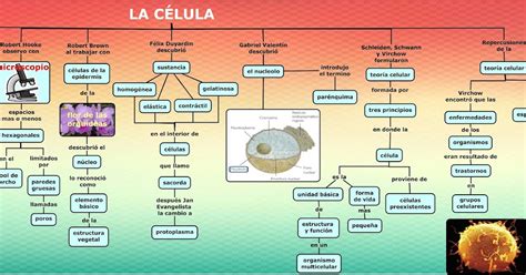 Biología Iii Mapa Conceptual 4 La Célula Un Concepto En Evolución