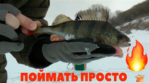 3 шага чтобы поймать рыбу зимой на мормышку Fishing wt mormyshka for