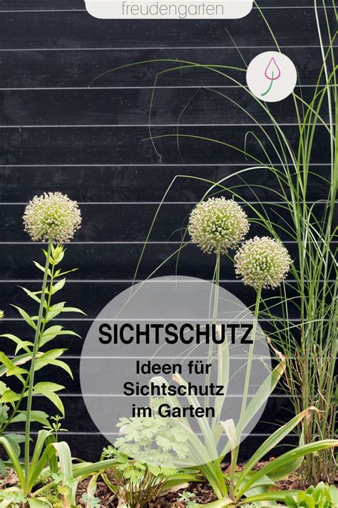 Die zeitschrift erscheint jeden monat im verlag der m.i.g. Wohnen Und Garten Zeitschrift Luxus Sichtschutz Im Garten ...