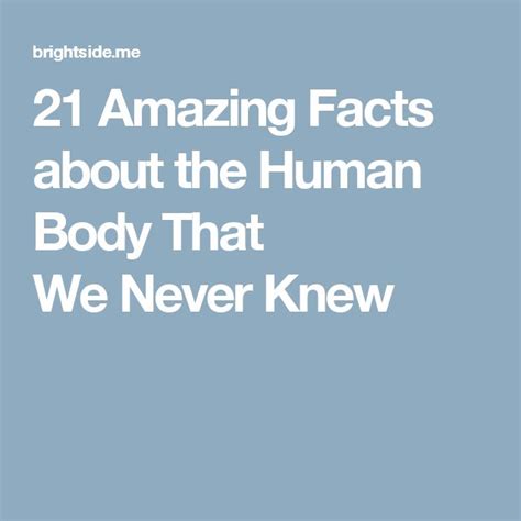 The Words 20 Amazing Fact About The Human Body That We Never Knew