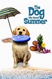 Watch The Dog Who Saved Summer (2015) Online for Free | The Roku ...