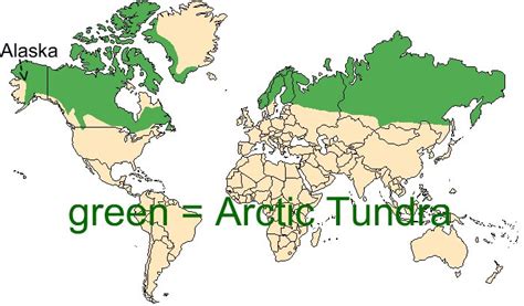 Arctic Tundra Ecosystems And Biomes 4c