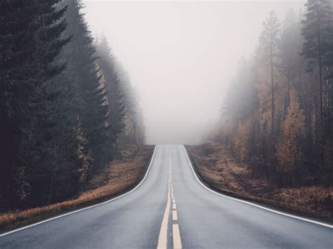 Foggy Road In Forest Download Mobile Phone Full Hd Wallpaper