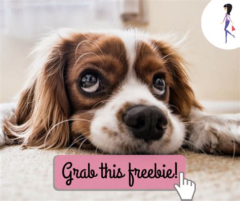 Free Nail Trim for Dogs at Petco - | Pets, Animals, Crazy dog