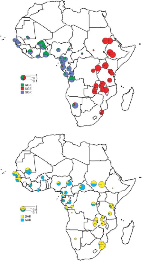 Frontiers Chloroquine And Sulfadoxine Pyrimethamine Resistance In Sub Saharan Africa—a Review