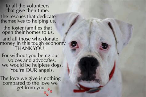 Shelter Pets Appreciate All Of Our Help Animal Rescue Quotes Animal
