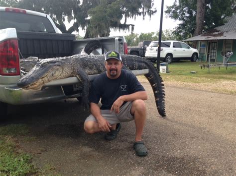 Awesome Louisiana Alligator Season 2014 Southern Boyz Outdoors