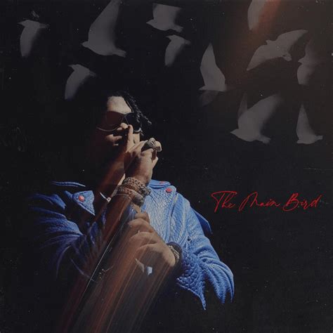 Nocap Announces New Mixtape ‘the Main Bird Dropping This Month The