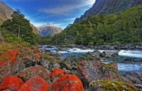 48 Best New Zealand Images On Pinterest New Zealand Beautiful Places