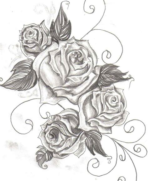 Roses Drawing