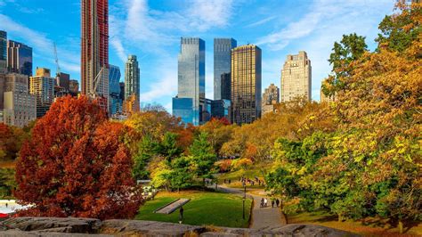 Central Park Fall Foliage Wallpaper Backiee
