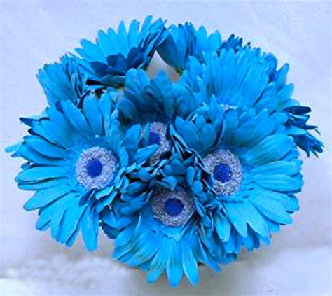 Turquoise Blue Aqua Gerbera Gerber Color With Maybe Purple Or Pink