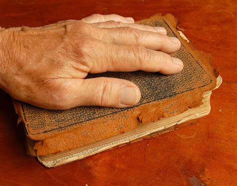 Hand On A Bible Free Photo Download Freeimages