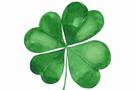 Four Leaf Clover Drawing Tutorial How To Draw A Lucky Clover Improve