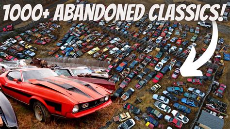 Exploring Junkyard Full Of Abandoned Mustangs Muscle Cars Classic