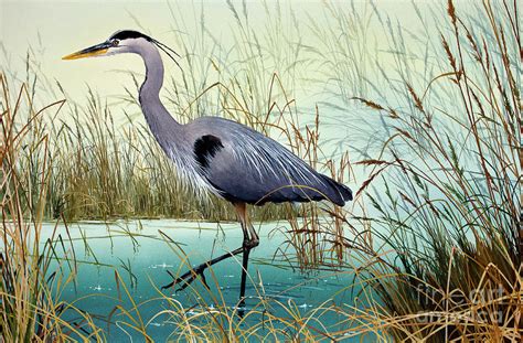 Wetland Beauty Painting By James Williamson Fine Art America