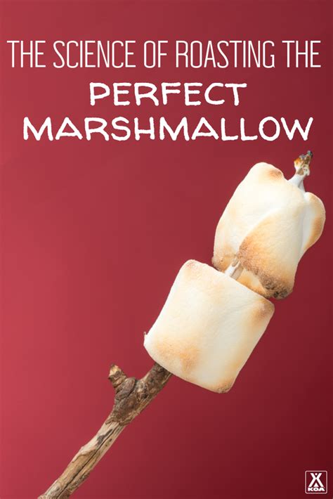 The Science Of Roasting The Perfect Marshmallow Koa Camping Blog