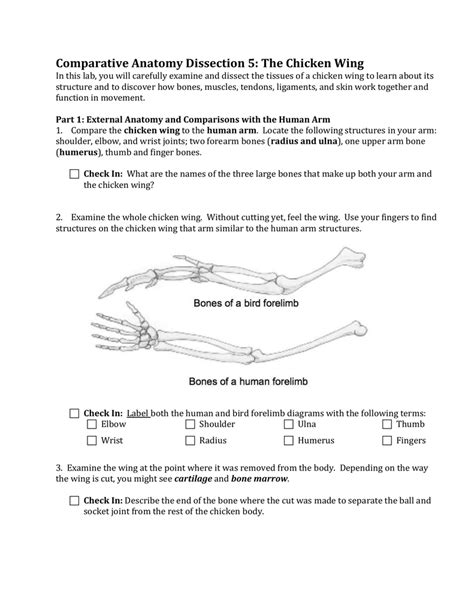 Chicken Wing Dissection Guide Cgw Life Science