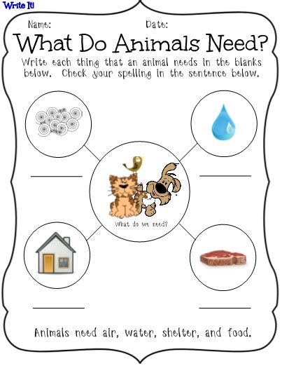 Animal Needs Worksheet First Grade