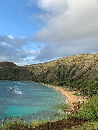 It is one of the premier destinations on oahu if you want to get acquainted with hundreds of tropical fish and marine life. Hanauma Bay Nature Preserve (Honolulu) - 2019 All You Need ...