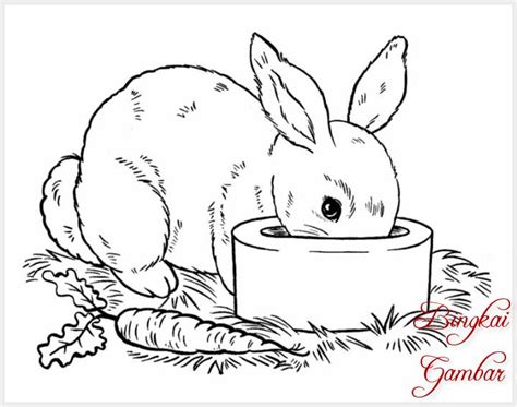 Bagian yang menyenangkan adalah, ada begitu banyak cara untuk melakukannya! Sketsa Gambar Kelinci - Contoh Sketsa Gambar