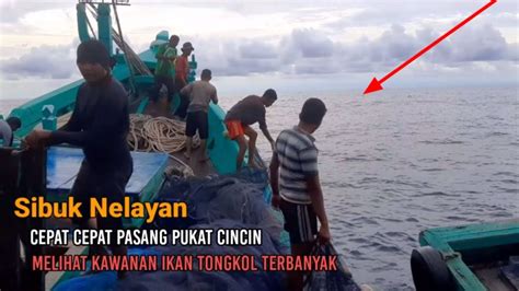 Sibuk Nelayan Terlihat Kawanan Ikan Terbanyak Cepat Cepat Pasang Pukat